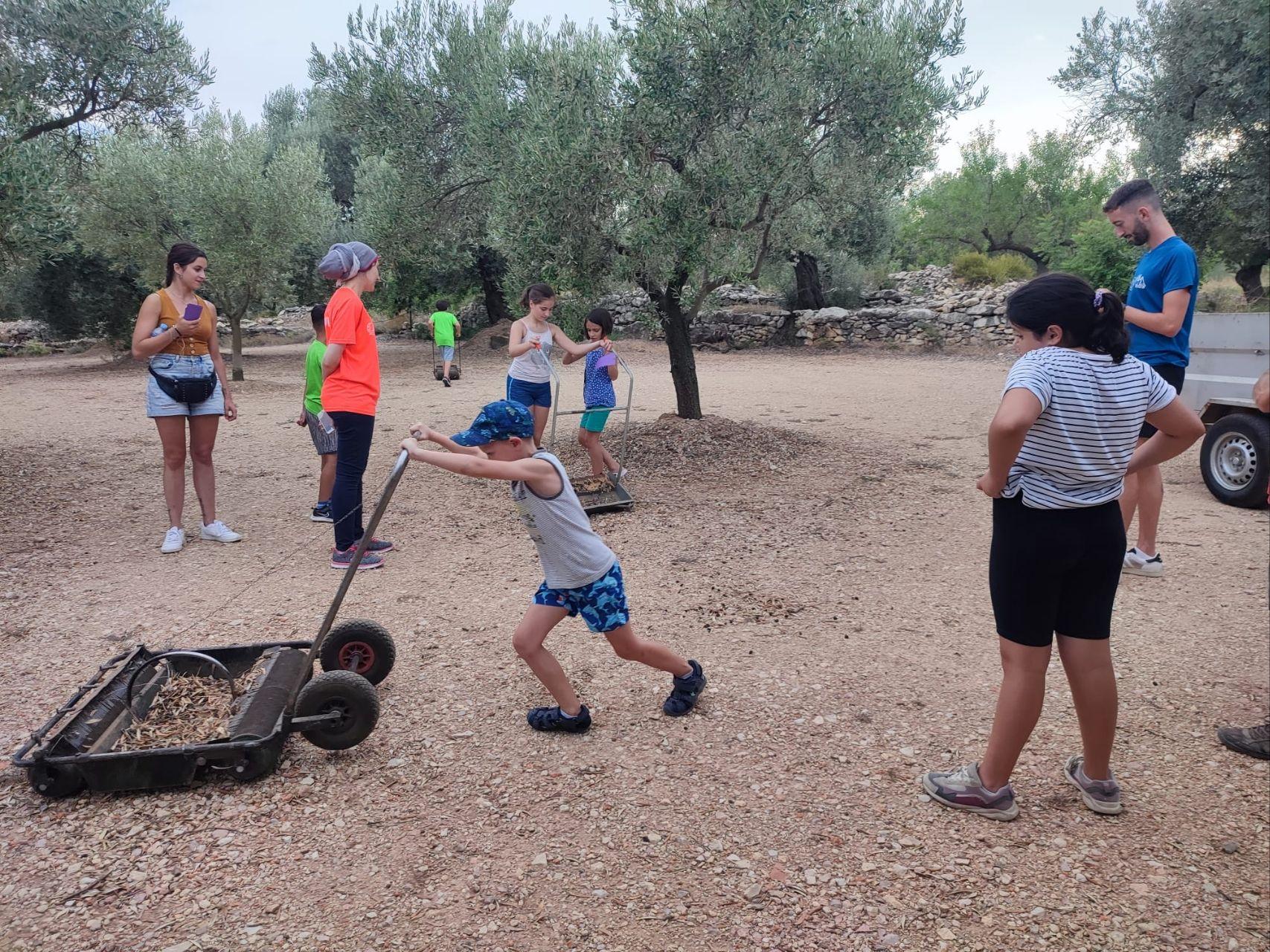 Tallers d’estiu a l’Espavil de La Sénia